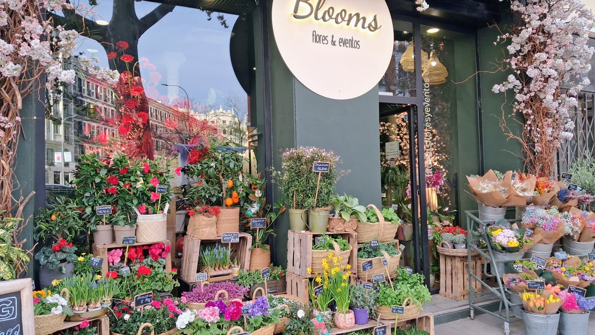 Facade of flower shop with various different types of plants on display